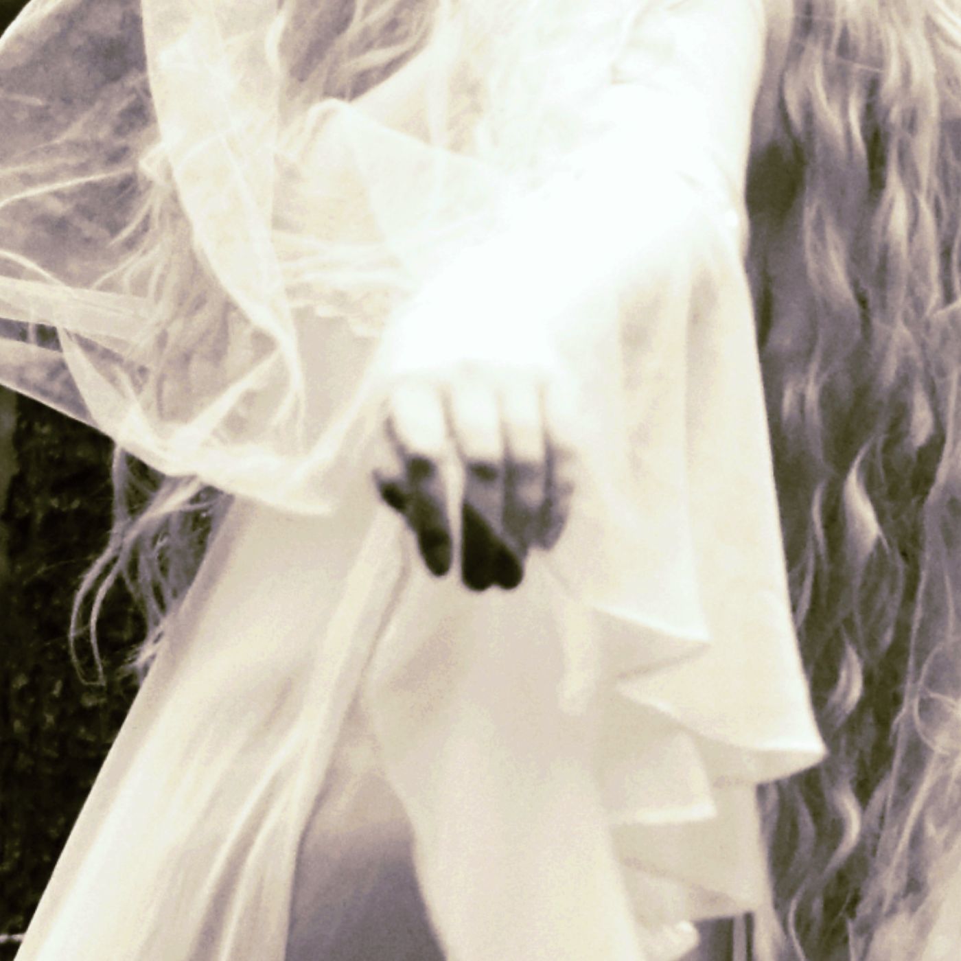 Backwater Township II CD